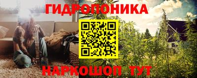 дживик Моздок