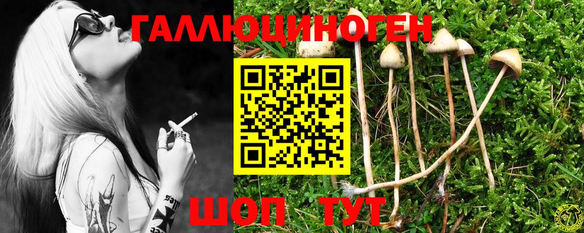 Псилоцибиновые грибы ЛСД  Вход с VPN  Псилоцибиновые грибы Psilocybine cubensis  Шелехов 