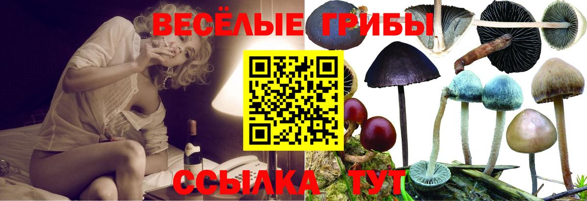 Псилоцибиновые грибы мицелий Шелехов
